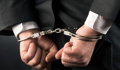 بازداشت مهدی خان‌بابازاده مقابل مهدکودک فرزندش در آمریکا
