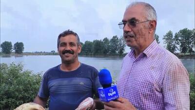قرق‌شکنی سنت دیرینه کشاورزان مازندرانی