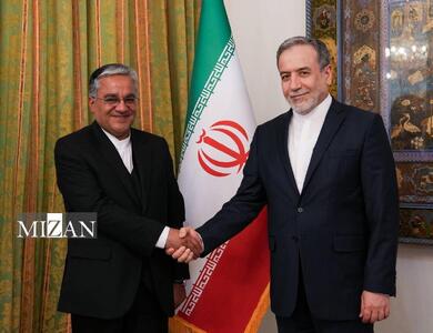 دیدار رئیس جدید دفتر حفاظت منافع ایران در قاهره با عراقچی