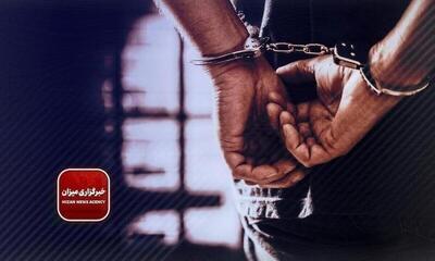 نتیجه اجرای طرح مبارزه با سارقین منزل / دستگیری ۴۳۶ سارق و کشف ۳۸ فقره انواع سرقت