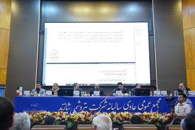 مجمع پرتنش پتروشیمی شازند؛ سهم ۳۰۰ ریالی در سایه انتقادهای سنگین+ فیلم