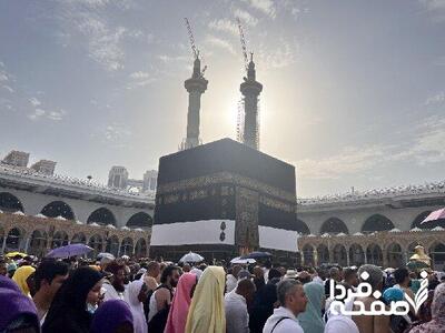 در حج امسال چند نفر فوت کردند؟