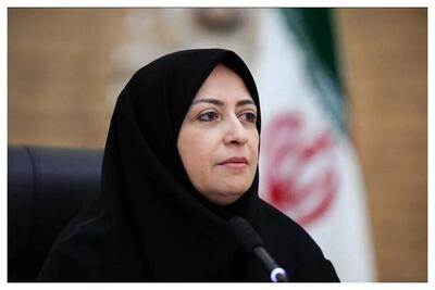 راهکار رئیس سازمان محیط زیست برای مهار آتش در تالاب هورالعظیم