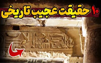 عجایب؛ از مورچه‌ای که زخم انسان رو بخیه میزنه تا خرس ایرانی که شد سرباز ارتش لهستان