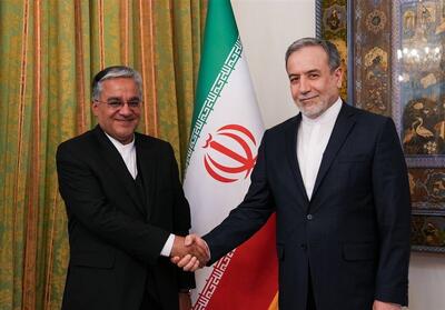 رئیس جدید دفتر حفاظت منافع ایران در قاهره انتخاب شد - تسنیم