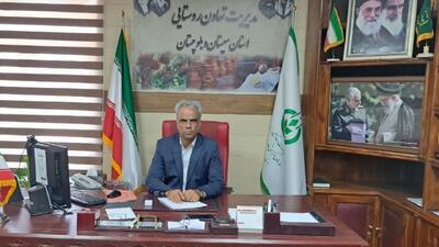 پرداخت مطالبات پیازکاران استان سیستان و بلوچستان به مبلغ ۵۲۰۰ میلیارد ریال