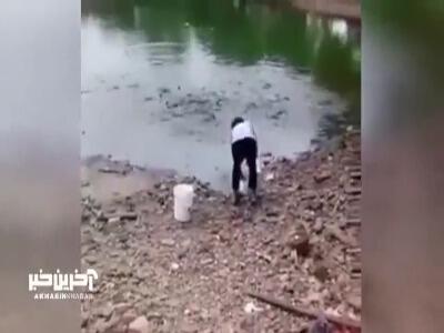هجوم حیرت آور ماهی ها برای خوردن غذا