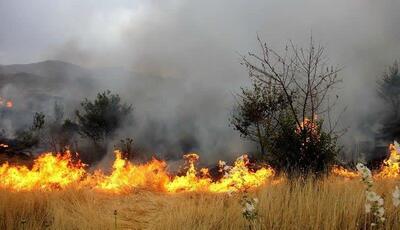 حریق گسترده در اردل مهار شد