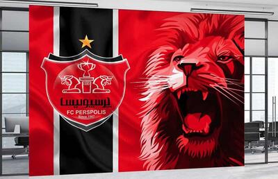 یک بازیکن ملی‌پوش از پرسپولیس جدا می شود