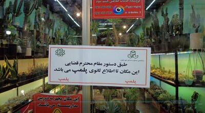 پلمب واحدهای متخلف بازار گل شهید ستاری