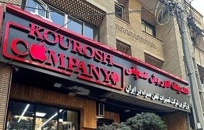 دادستان تهران اعلام کرد    کیفرخواست پرونده کوروش کمپانی صادر شد/ تاکید بر تدوین و اجرای فوری ضوابط تبلیغ در فضای مجازی