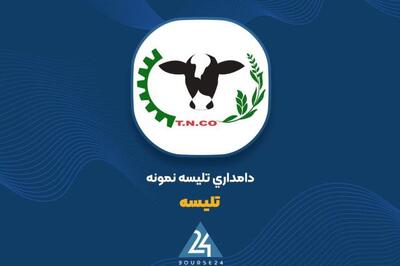 نگاهی به وضعیت عملکرد «تلیسه» تا پایان خرداد