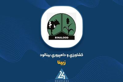 دلیل افزایش سود عملیاتی «زبینا» را بخوانید