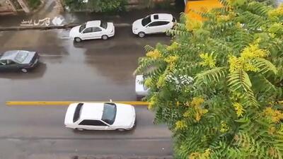بارش باران تابستانی در اردبیل؛ با این فیلم خنک شوید