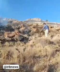 آتش‌سوزی در بخش‌هایی از پارک ملی تندوره