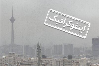 اینفوگرافیک/ برای مقابله با ریزگردها چه غذاهایی مصرف کنیم؟