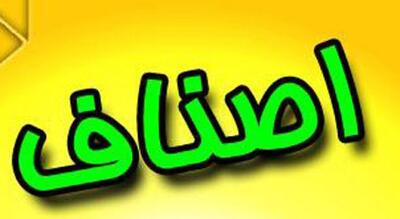 حمایت ناکافی دولت از اصناف استان کرمانشاه