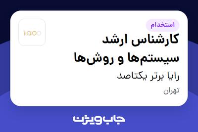 استخدام کارشناس ارشد سیستم‌ها و روش‌ها در رایا برتر یکتاصد