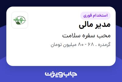 استخدام مدیر مالی - آقا در محب سفره سلامت