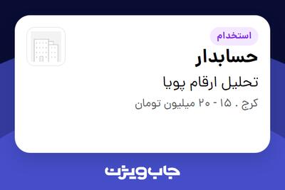 استخدام حسابدار در تحلیل ارقام پویا