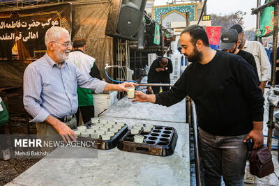 مواکب شادگان آماده ارائه خدمات به زائران اربعین