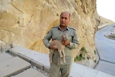 سردار رستگار: پیگیری پرونده شهید هدایت‌الله دیده‌بان با قوت ادامه دارد