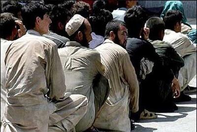 ۲۰ تبعه غیرمجاز با مدارک جعلی در گرمه دستگیر شدند