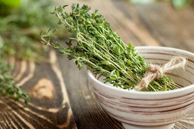 خواص بخور برگ آویشن برای تقویت سیستم تنفسی و کاهش علائم سرماخوردگی در طب سنتی