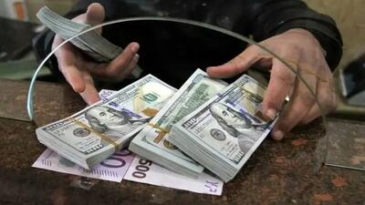قیمت دلار امروز ۲۹ تیر ۱۴۰۴ ؛ ثبات نسبی در بازار ارز