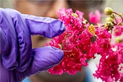 پوشش شیشه‌ای نوین برای کاهش مصرف انرژی و دفع اشعه فرابنفش