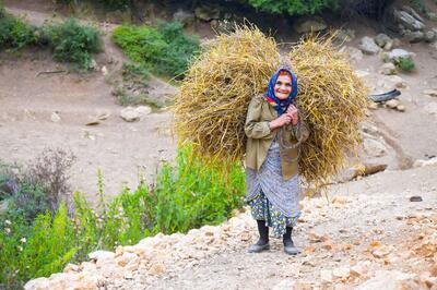 بیمه رایگان تمام زنان سرپرست خانوار روستایی