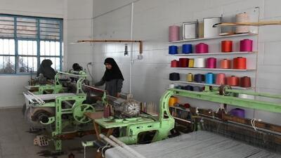 اعطای بیش از ۱۵ میلیارد تومان تسهیلات اشتغال به مددجویان زیرکوهی