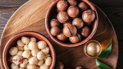طرز تهیه شیر ماکادمیا خانگی | طعمی گیاهی و مقوی برای همه | زرچین