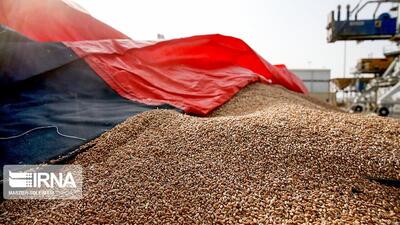 ۱۲ هزار تن نهاده بین دامداران خراسان‌شمالی توزیع شد