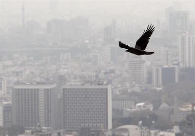 درخواست افزایش دستمزد مشاوران املاک