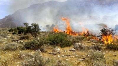 اطفای بخشی از آتش سوزی جنگل ابر