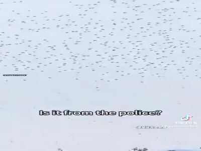 خراب شدن نمایش پهپادی در چین