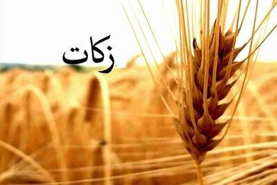 افزایش ۴۴ درصدی جمع آوری زکات در آذربایجان غربی