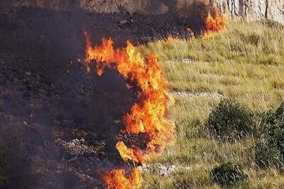اعزام هواپیمای آب‌پاش  به خوزستان برای مهار آتش‌سوزی هورالعظیم