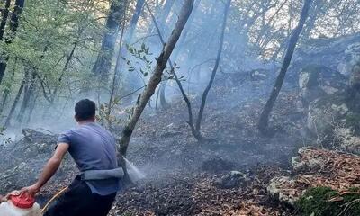 آتش‌سوزی در «جنگل ابر» استان سمنان