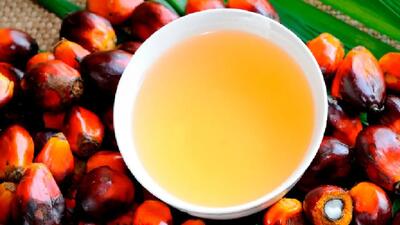 روغن پالم باعث بالاتر رفتن سطح کلسترول خون می‌شود؟