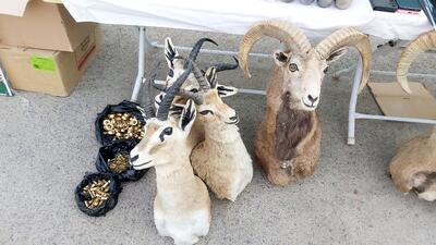 کولاک پلیس کرمان در طرح اقتدار ۳ ؛ از دستگیری سارقان و افراد اخاذ تا کشف سلاح و ماینرهای غیرمجاز | تصاویر