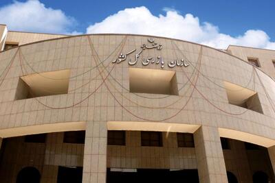 هشدار سازمان بازرسی به بیمه‌ها: در پرداخت خسارت تعلل نکنید