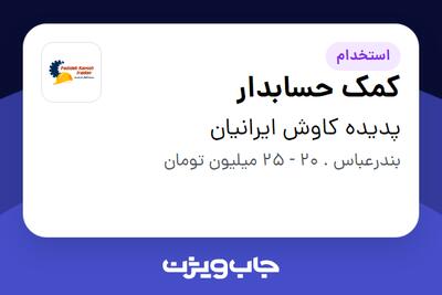 استخدام کمک حسابدار در پدیده کاوش ایرانیان