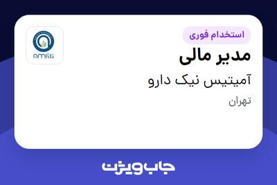 استخدام مدیر مالی در آمیتیس نیک دارو