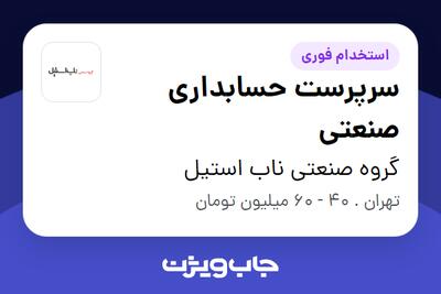 استخدام سرپرست حسابداری صنعتی در گروه صنعتی ناب استیل