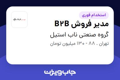 استخدام مدیر فروش B2B در گروه صنعتی ناب استیل