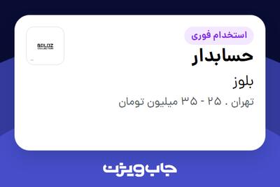 استخدام حسابدار - آقا در بلوز