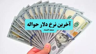 جدیدترین قیمت حواله دلار امروز دوشنبه ۳۰ تیر ماه ۱۴۰۴ + آخرین نرخ حواله دلار دوشنبه