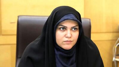 نقایص اجرایی در فرآیند خصوصی سازی ایران | نماینده مجلس: نظارت مؤثر ضروری است